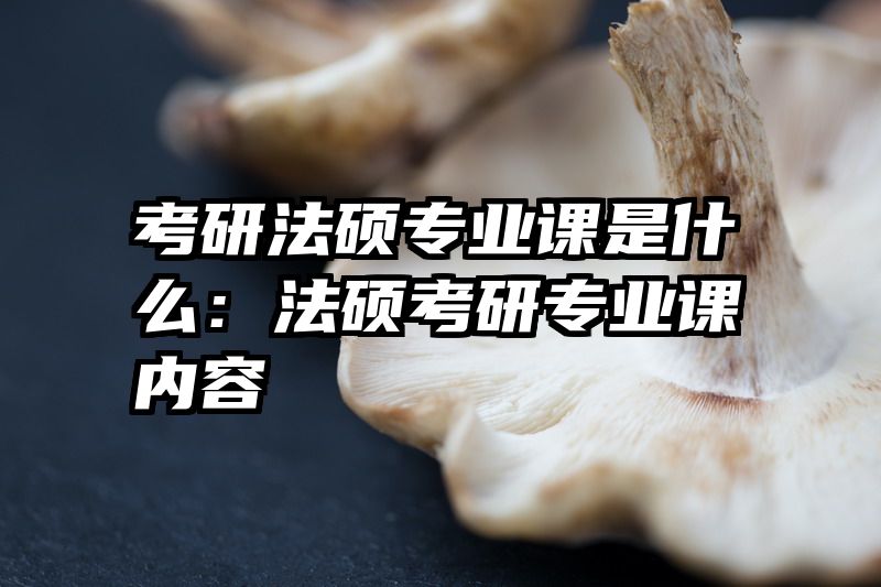 考研法硕专业课是什么：法硕考研专业课内容