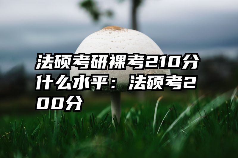 法硕考研裸考210分什么水平：法硕考200分