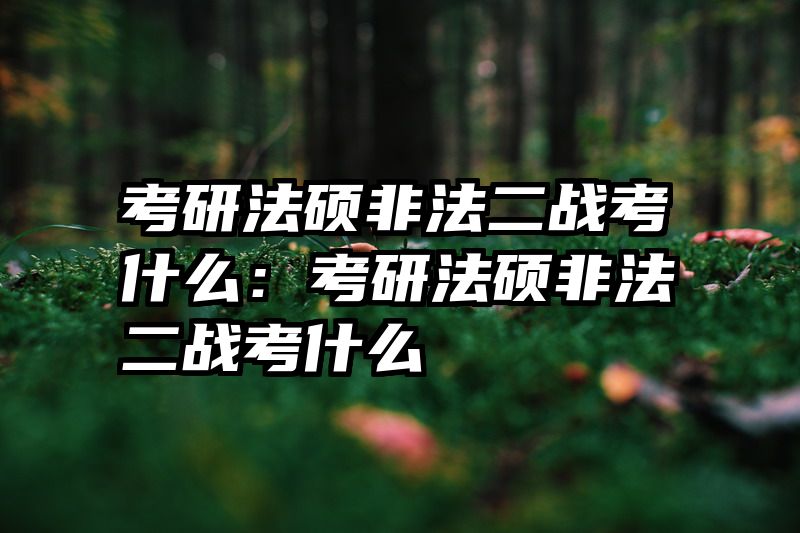 考研法硕非法二战考什么：考研法硕非法二战考什么
