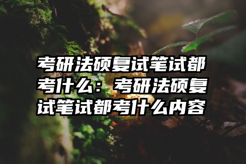 考研法硕复试笔试都考什么：考研法硕复试笔试都考什么内容