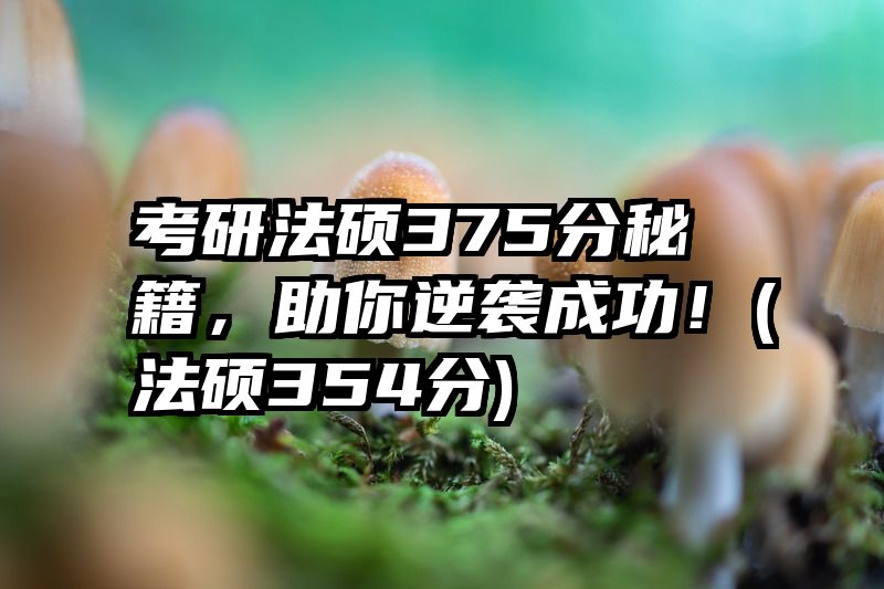考研法硕375分秘籍，助你逆袭成功！(法硕354分)