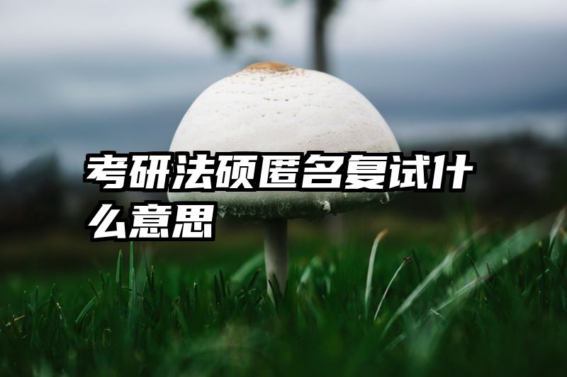 考研法硕匿名复试什么意思