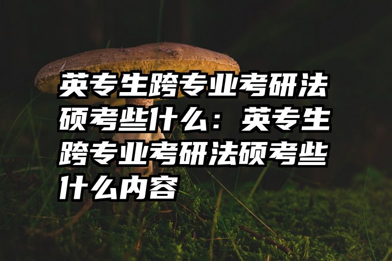 英专生跨专业考研法硕考些什么：英专生跨专业考研法硕考些什么内容