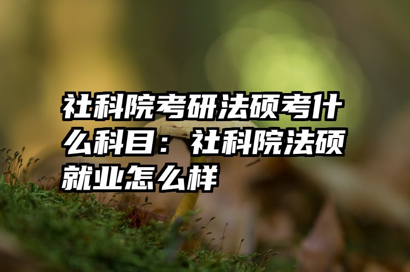 社科院考研法硕考什么科目：社科院法硕就业怎么样