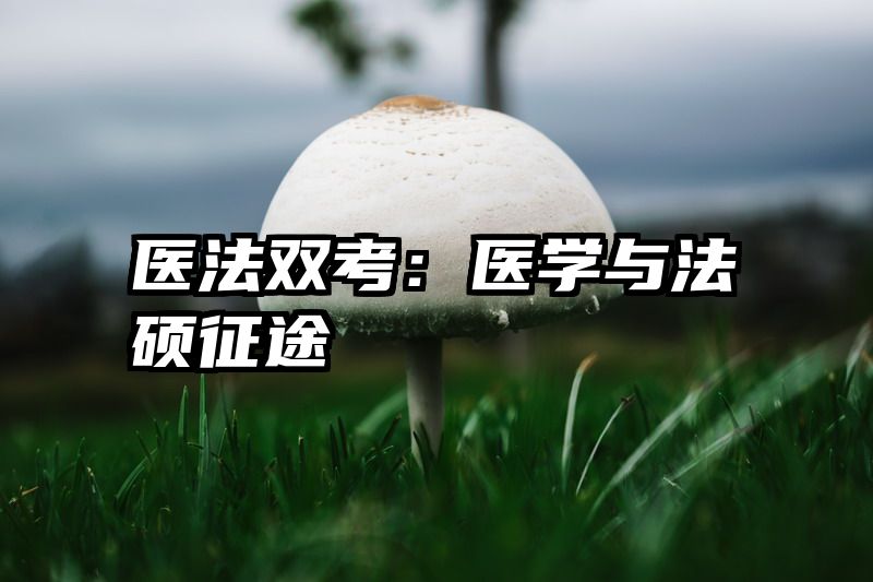 医法双考：医学与法硕征途