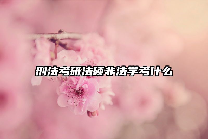 刑法考研法硕非法学考什么