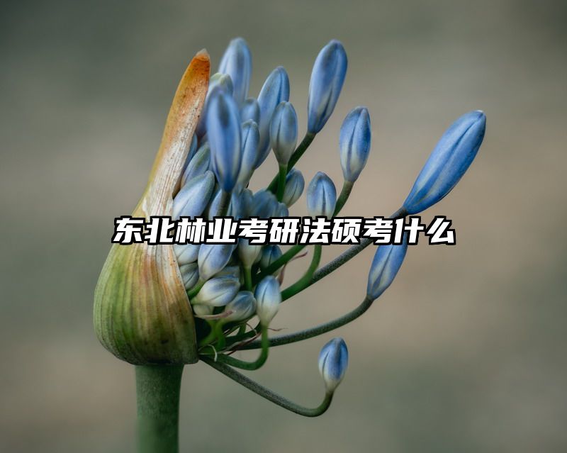 东北林业考研法硕考什么