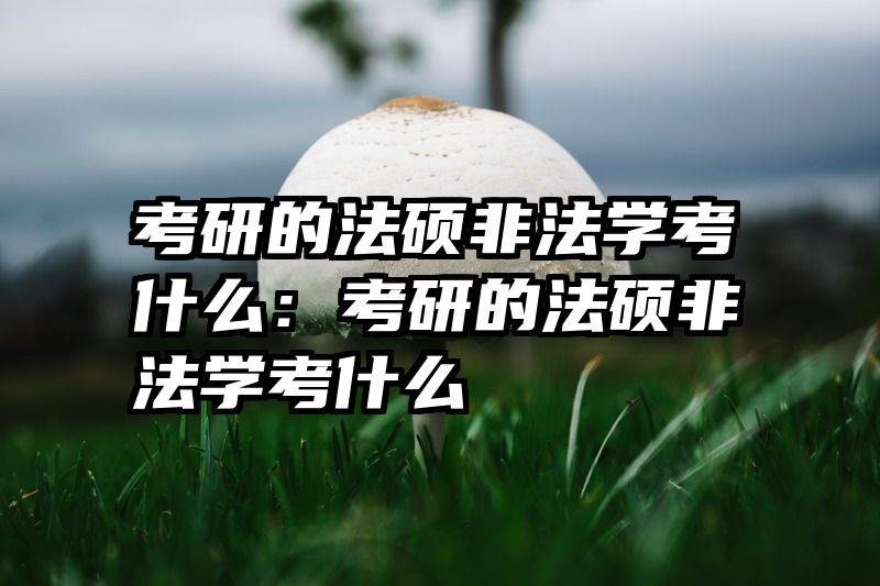 考研的法硕非法学考什么：考研的法硕非法学考什么