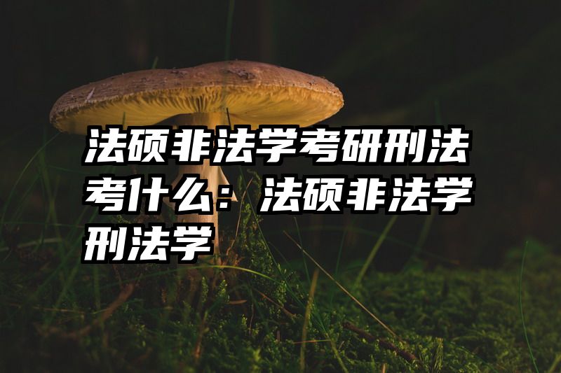 法硕非法学考研刑法考什么：法硕非法学刑法学