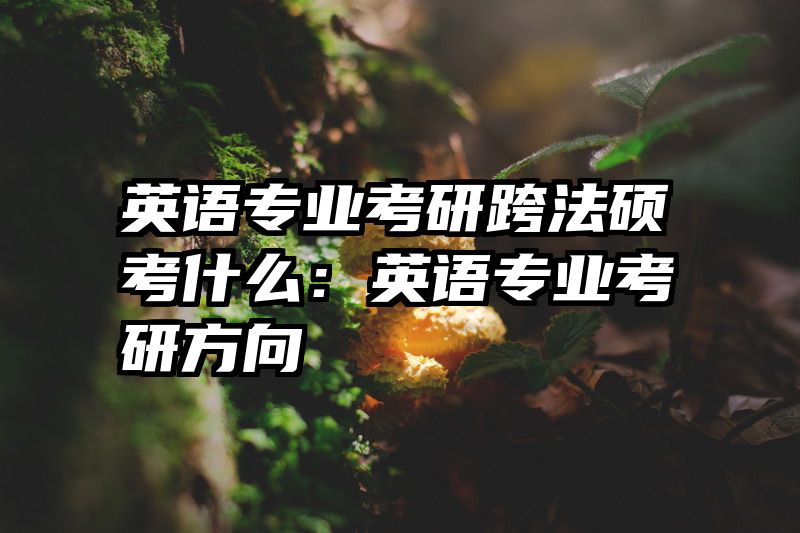 英语专业考研跨法硕考什么：英语专业考研方向