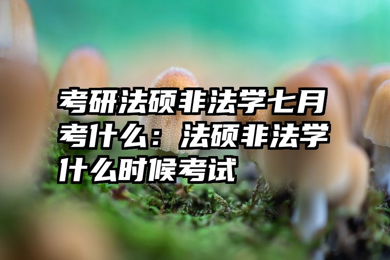 考研法硕非法学七月考什么：法硕非法学什么时候考试