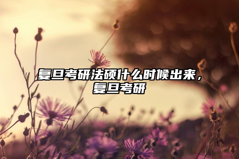 复旦考研法硕什么时候出来，复旦考研