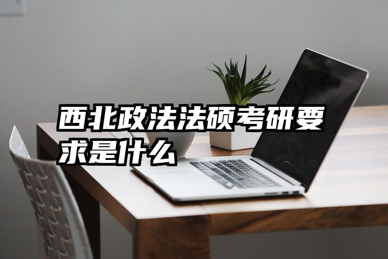 西北政法法硕考研要求是什么