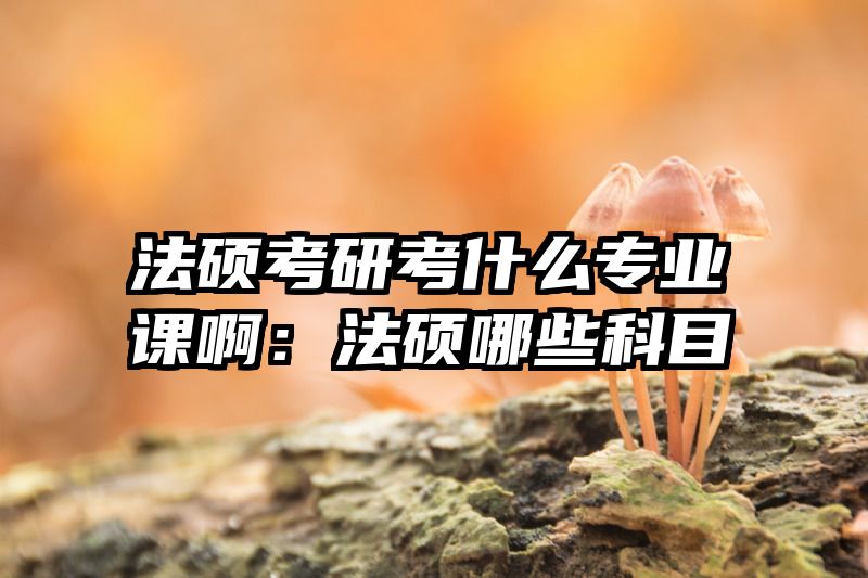 法硕考研考什么专业课啊：法硕哪些科目