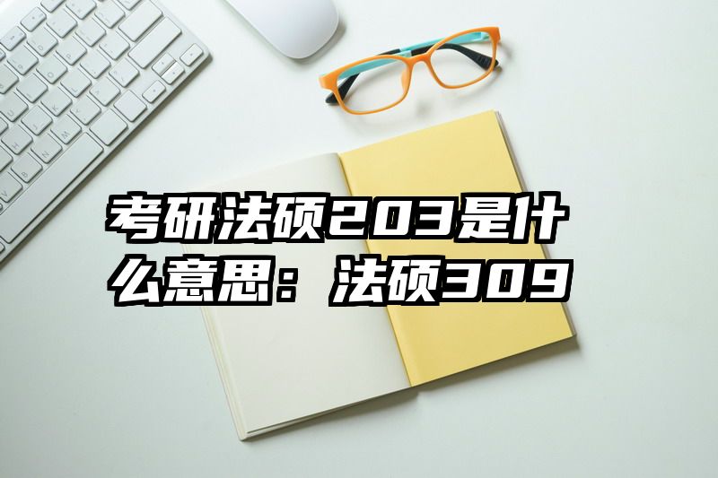 考研法硕203是什么意思：法硕309