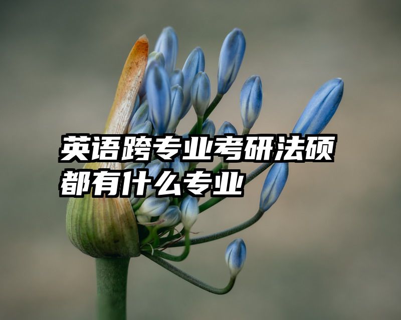 英语跨专业考研法硕都有什么专业