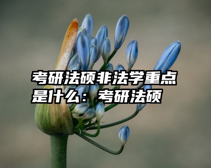 考研法硕非法学重点是什么：考研法硕