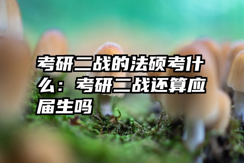 考研二战的法硕考什么：考研二战还算应届生吗