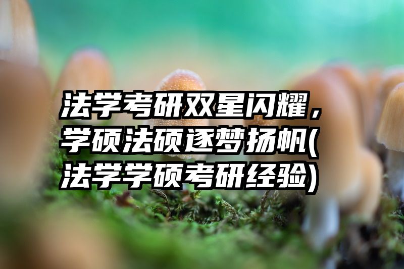 法学考研双星闪耀，学硕法硕逐梦扬帆(法学学硕考研经验)