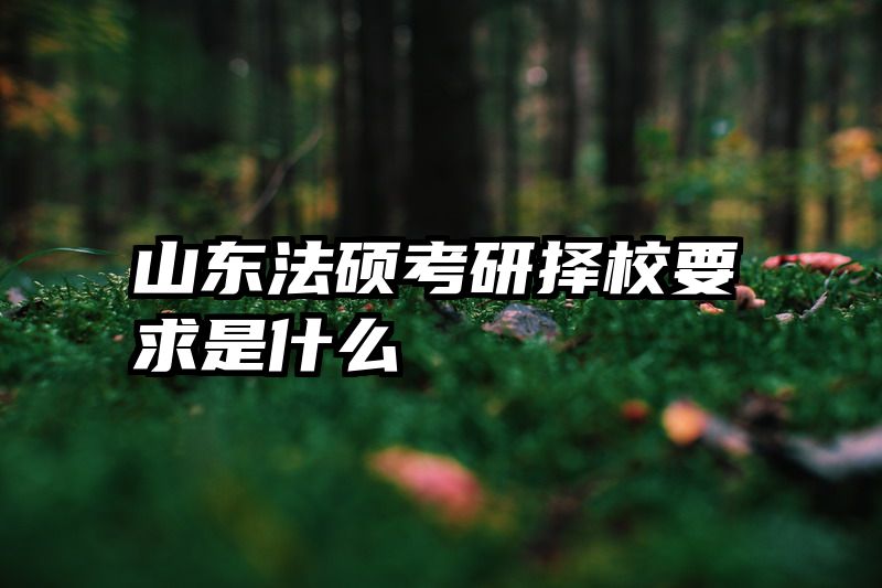 山东法硕考研择校要求是什么