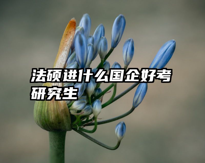 法硕进什么国企好考研究生
