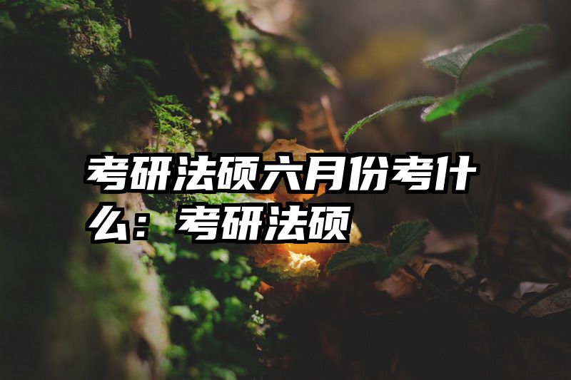 考研法硕六月份考什么：考研法硕