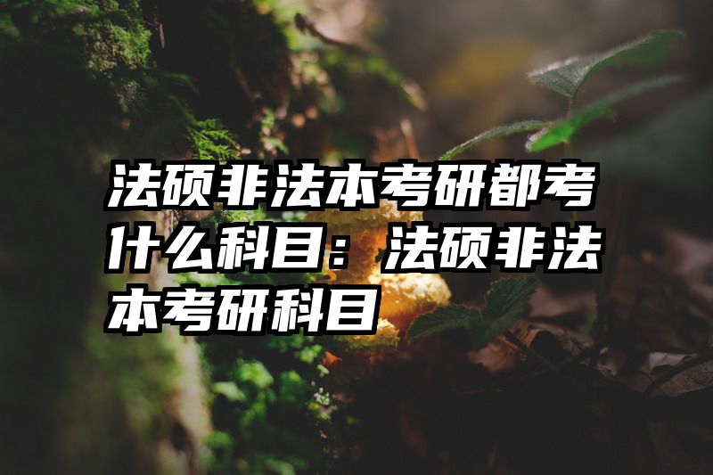 法硕非法本考研都考什么科目：法硕非法本考研科目