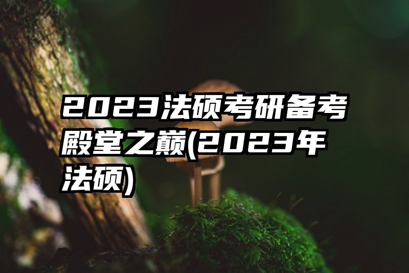 2023法硕考研备考殿堂之巅(2023年法硕)