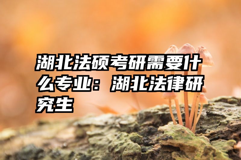 湖北法硕考研需要什么专业：湖北法律研究生