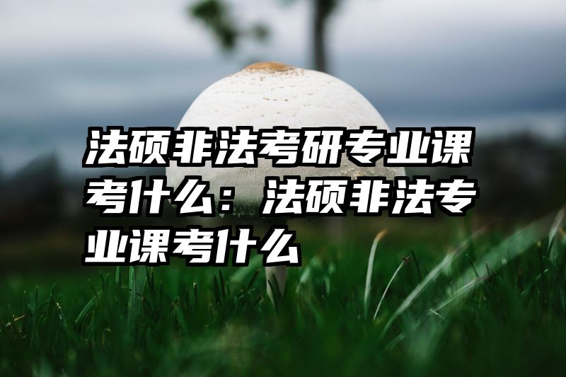 法硕非法考研专业课考什么：法硕非法专业课考什么