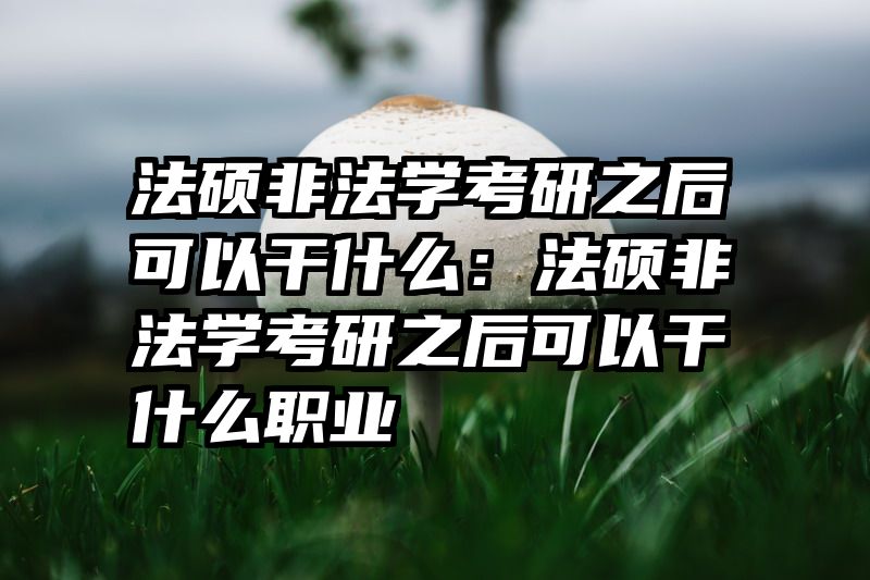 法硕非法学考研之后可以干什么：法硕非法学考研之后可以干什么职业