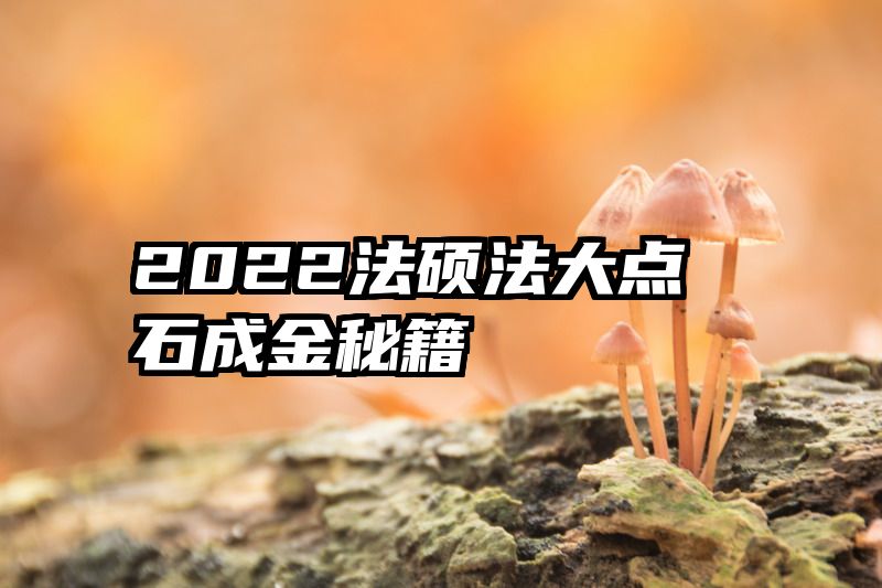 2022法硕法大点石成金秘籍