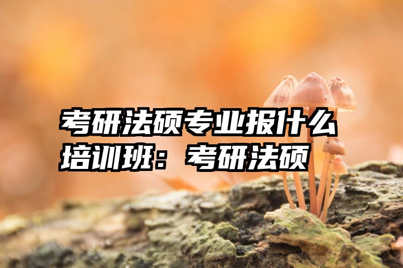 考研法硕专业报什么培训班：考研法硕