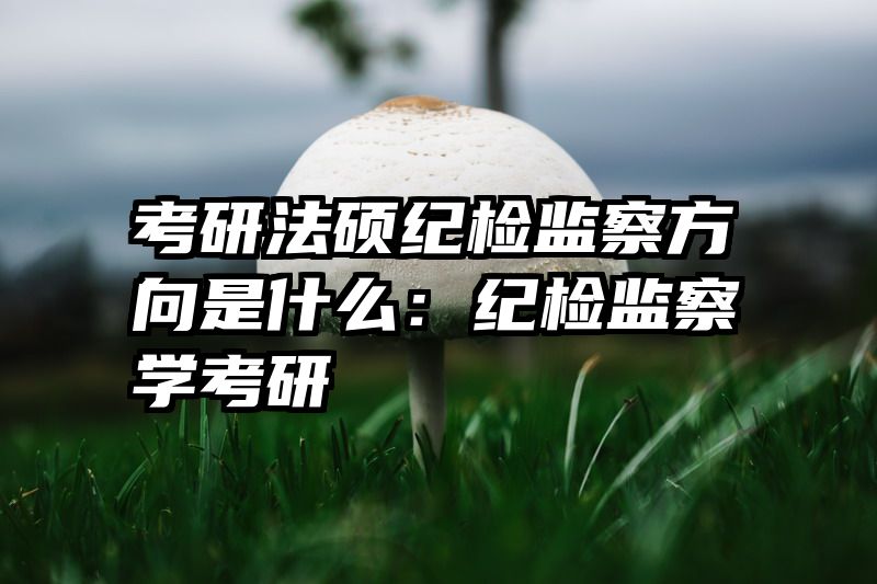 考研法硕纪检监察方向是什么：纪检监察学考研