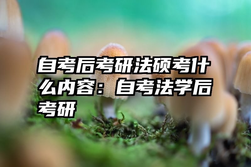 自考后考研法硕考什么内容：自考法学后考研