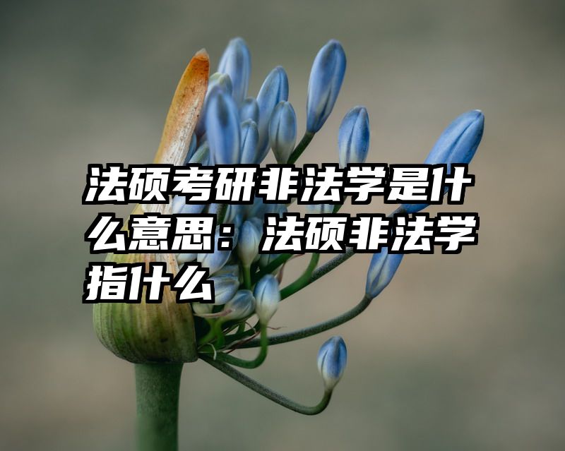 法硕考研非法学是什么意思：法硕非法学指什么