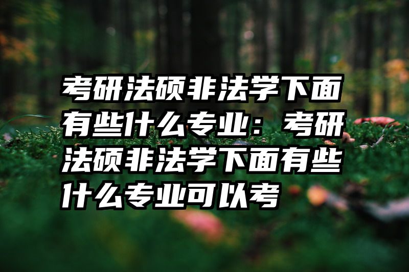 考研法硕非法学下面有些什么专业：考研法硕非法学下面有些什么专业可以考