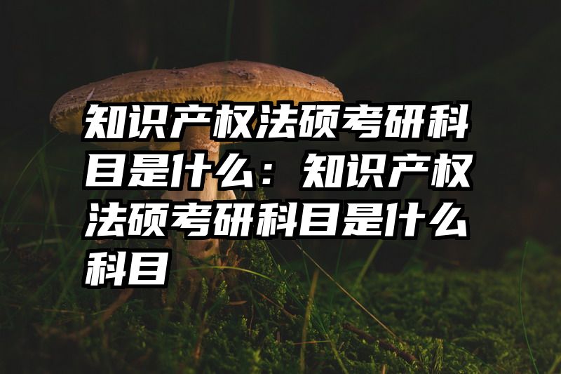 知识产权法硕考研科目是什么：知识产权法硕考研科目是什么科目