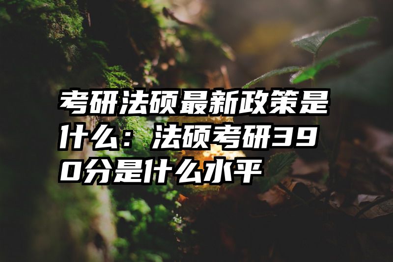 考研法硕最新政策是什么：法硕考研390分是什么水平