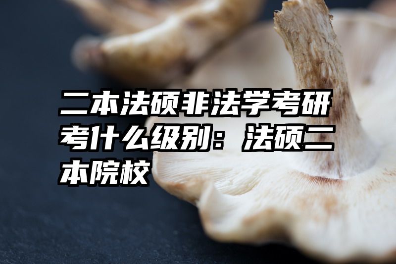 二本法硕非法学考研考什么级别：法硕二本院校