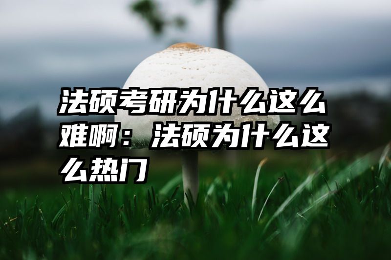 法硕考研为什么这么难啊：法硕为什么这么热门
