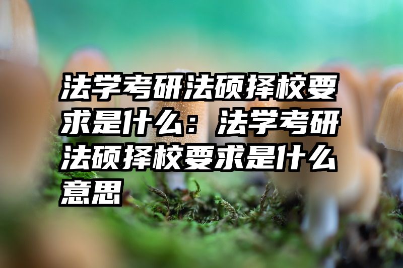 法学考研法硕择校要求是什么：法学考研法硕择校要求是什么意思