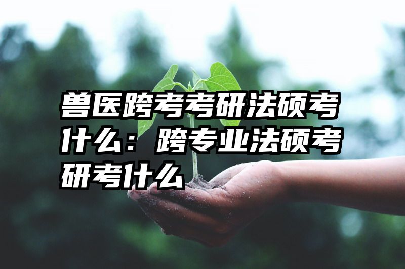 兽医跨考考研法硕考什么：跨专业法硕考研考什么