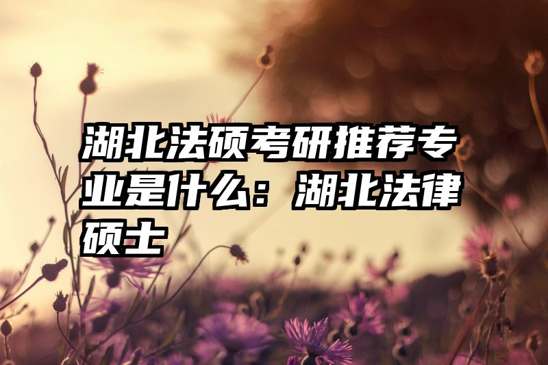 湖北法硕考研推荐专业是什么：湖北法律硕士