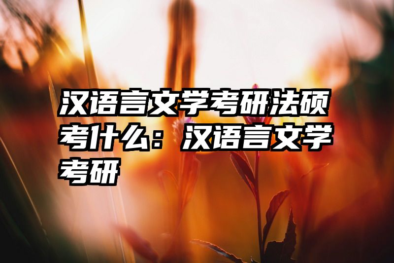 汉语言文学考研法硕考什么：汉语言文学考研