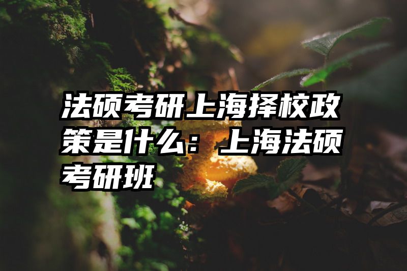 法硕考研上海择校政策是什么：上海法硕考研班