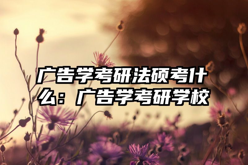 广告学考研法硕考什么：广告学考研学校