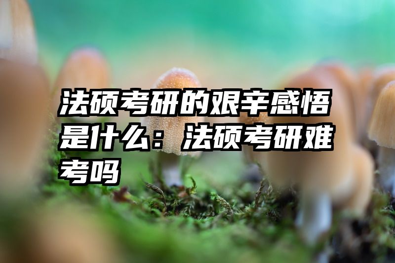 法硕考研的艰辛感悟是什么：法硕考研难考吗