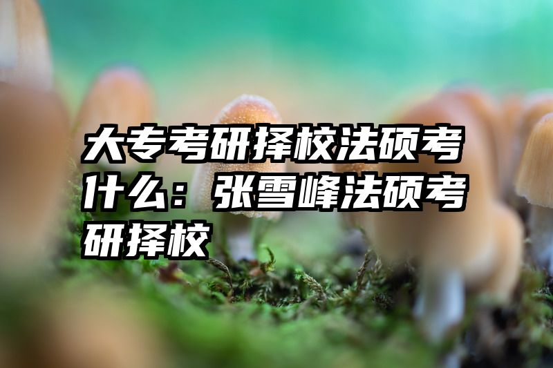 大专考研择校法硕考什么：张雪峰法硕考研择校