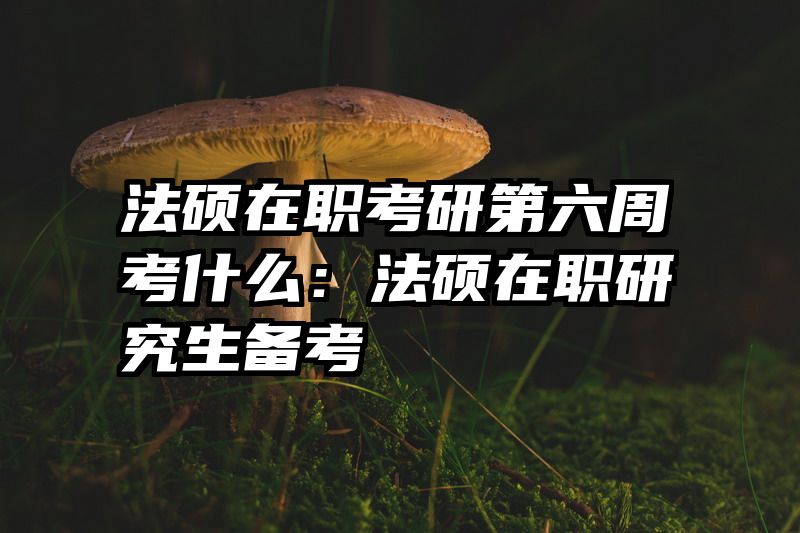 法硕在职考研第六周考什么：法硕在职研究生备考